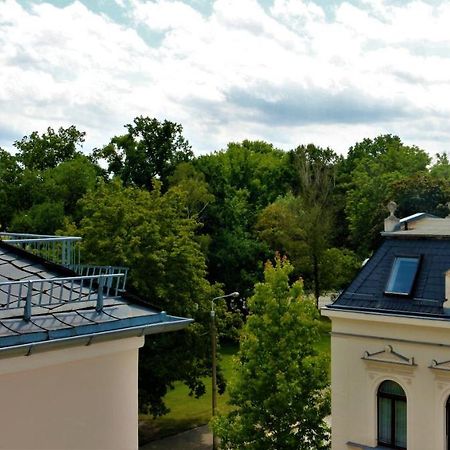 Zentral Gelegene Wohnung Nahe Schwanenteich Zwickau Exterior photo