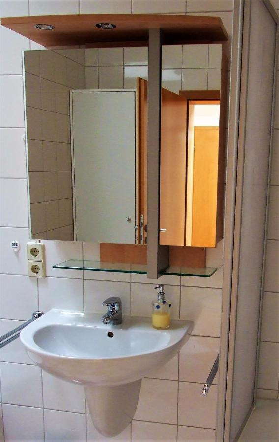 Zentral Gelegene Wohnung Nahe Schwanenteich Zwickau Exterior photo