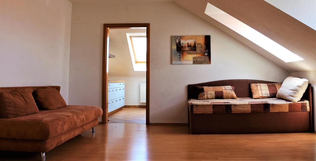Zentral Gelegene Wohnung Nahe Schwanenteich Zwickau Exterior photo